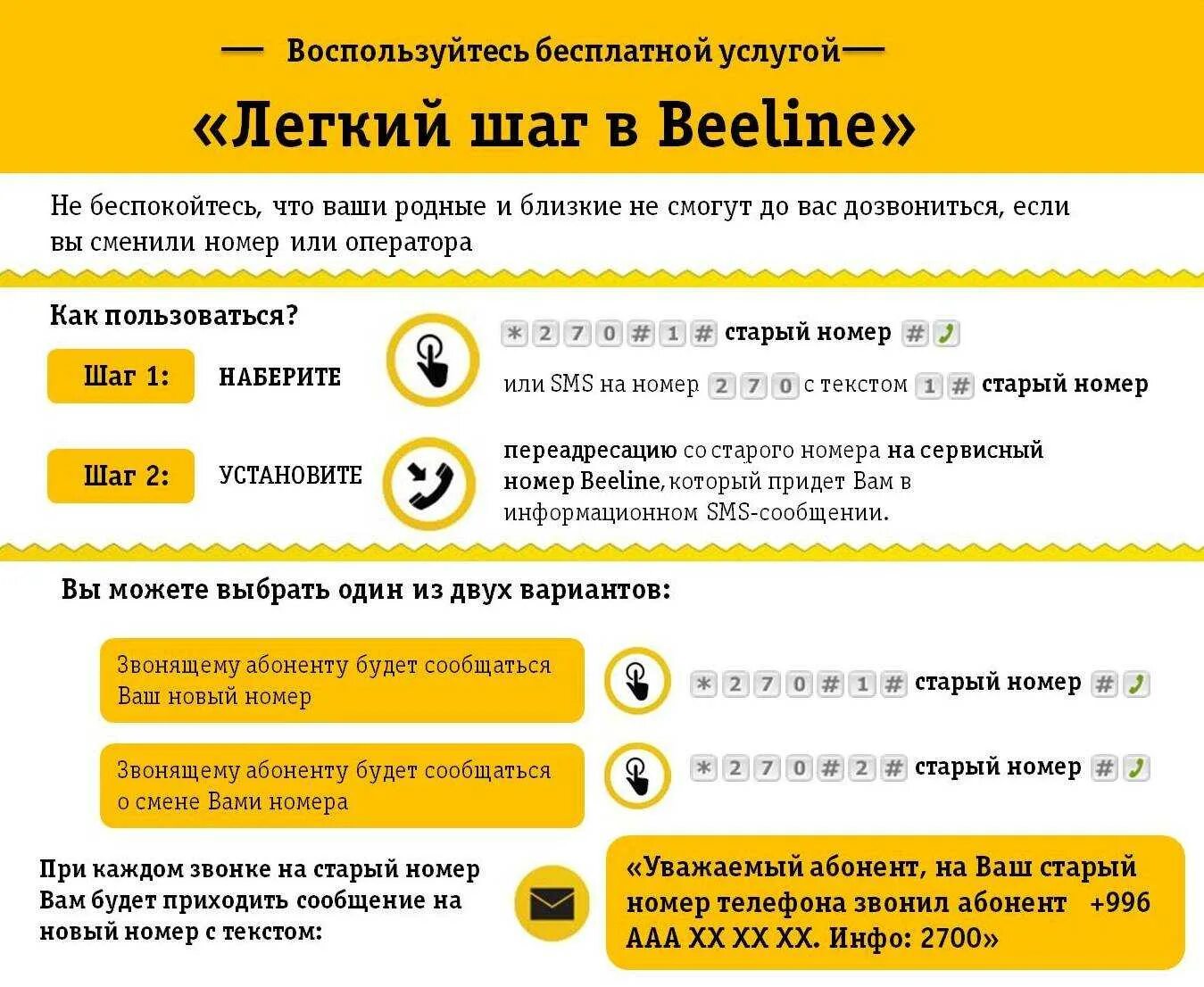 Билайн номер оператора бесплатный позвонить. Номер Билайн. Оператор Билайн номер. Номер компании Билайн. Оператор Билайн номер телефона.