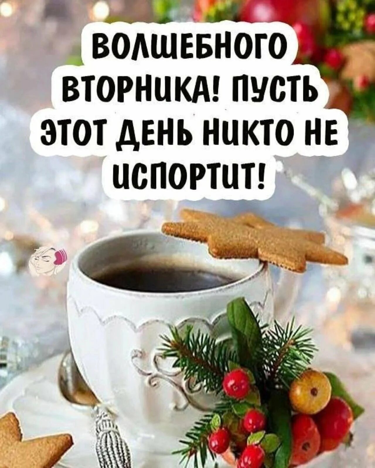 Доброго зимнего дня вторника и хорошего настроения. С добрым зимним утром вторника. с добрым зимним утром в орника. открытки с добрым утром вторника зимние. с добрым декабрьским утром вторника.