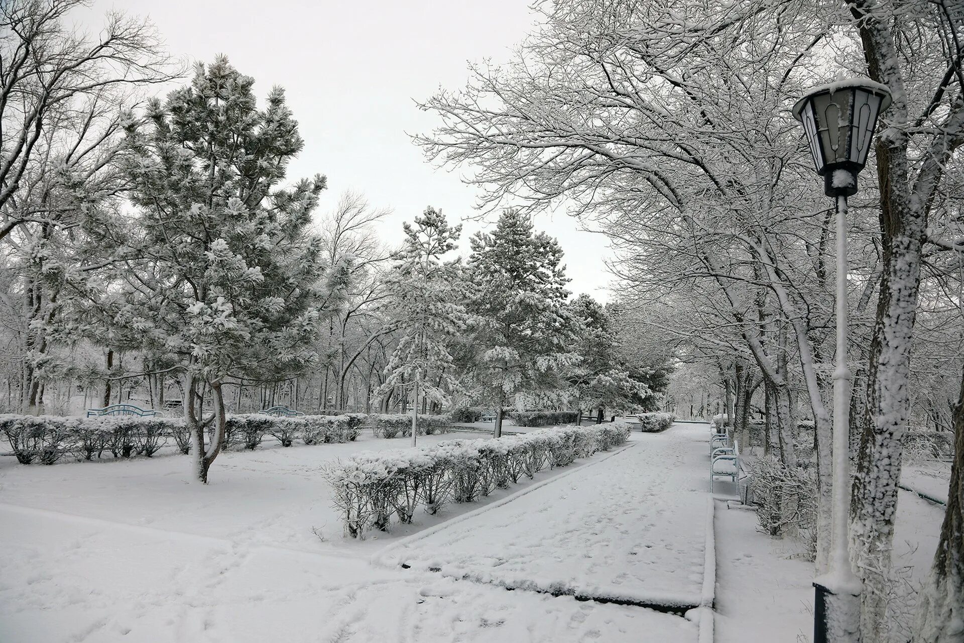 Наутро выпал снег поэтому волга стала. У нас снег. Рыжов). Байконур фото зимы 1994 год. Климатическая зима ноябрь.
