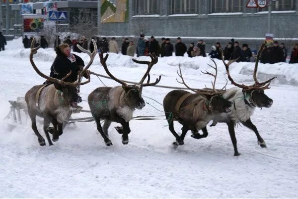 Фото вокзала воркута зимой. Экскурсии воркута. Воркута туризм. Воркута пустой город. Экскурсии воркута.
