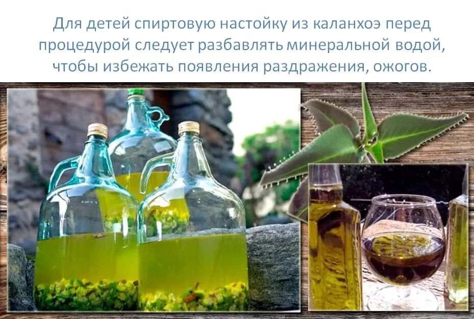 мазь каланхоэ. настойка каланхоэ. сок каланхоэ лечебное. каланхоэ настой. сок алоэ каланхоэ.