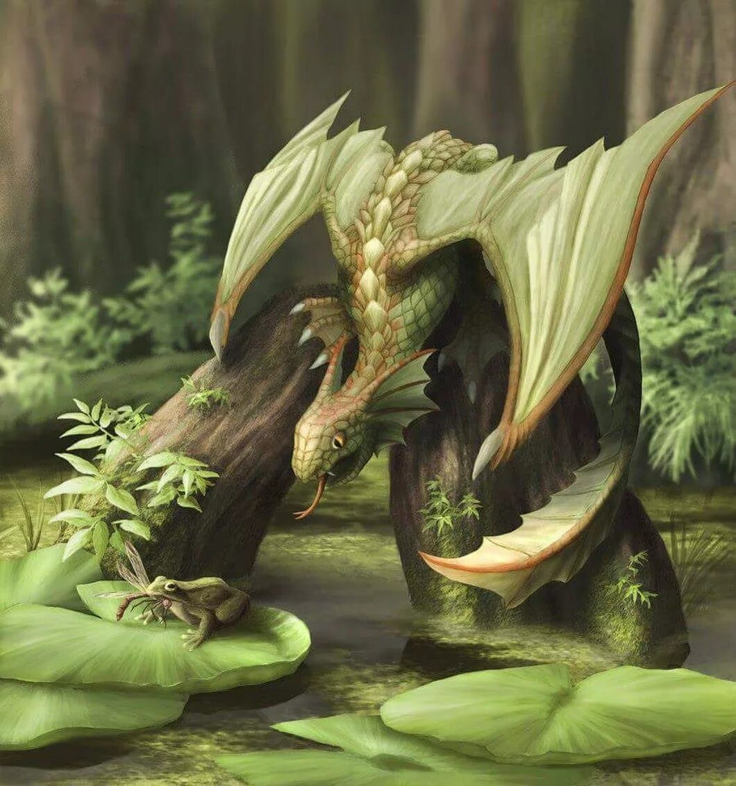 Брим зелёный дракон. Василиск болотный дракон. Колхидский дракон. Древесный дракон.