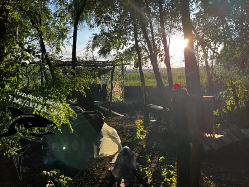 позывной акула телеграмм