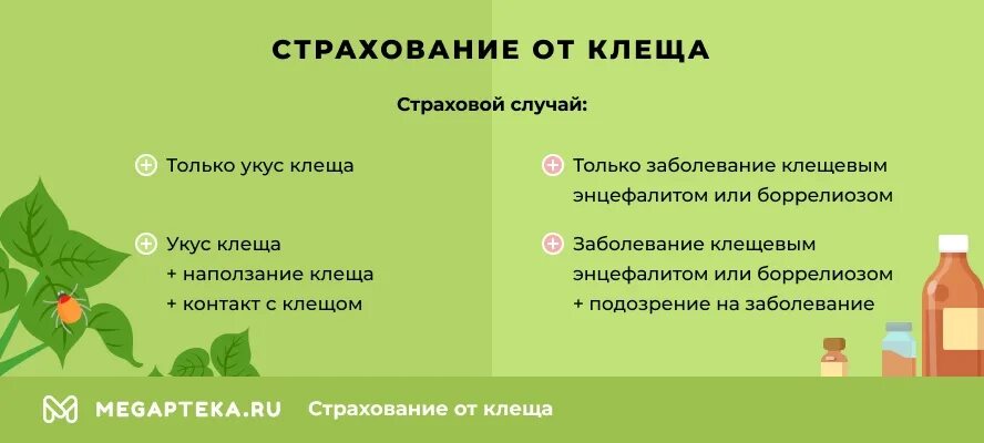 Где сделать страховку от клеща. Страховка от клещевого энцефалита. Страхование на случай укуса клеща. Клещ полис. Страхование от укуса клеща страховые риски.