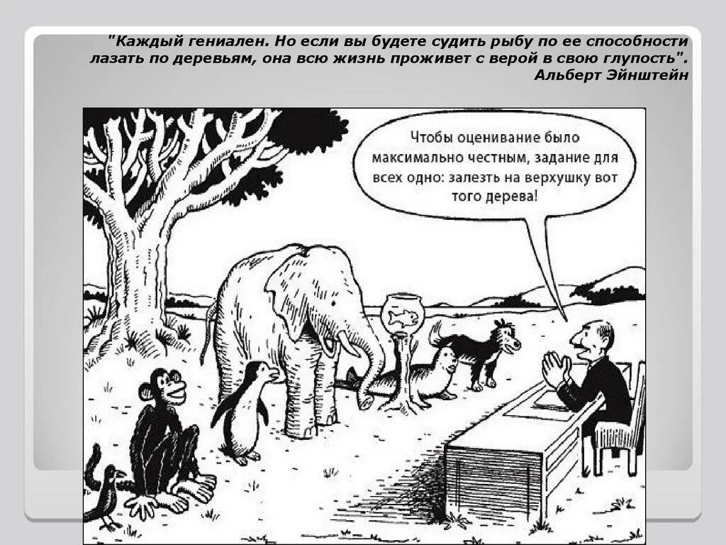 Каждый гениален. Оценивать рыбу по способности лазить по деревьям. Образование залезть на дерево. Если судить рыбу по ее способности взбираться на дерево. Каждый гениален но если вы будете судить рыбу по её способности.