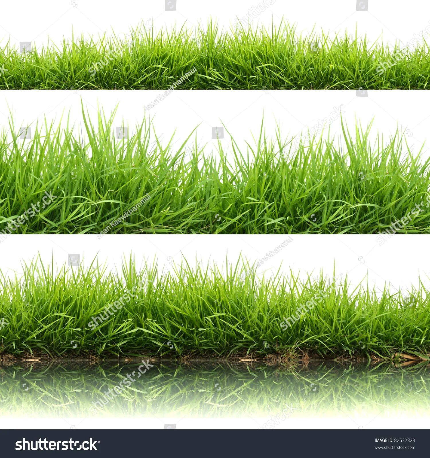 Трава ПГ. Трава Сток фото на прозрачном фоне. Greener grass. Трава сток