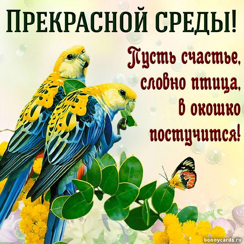 Доброе утро среда прекрасного настроения