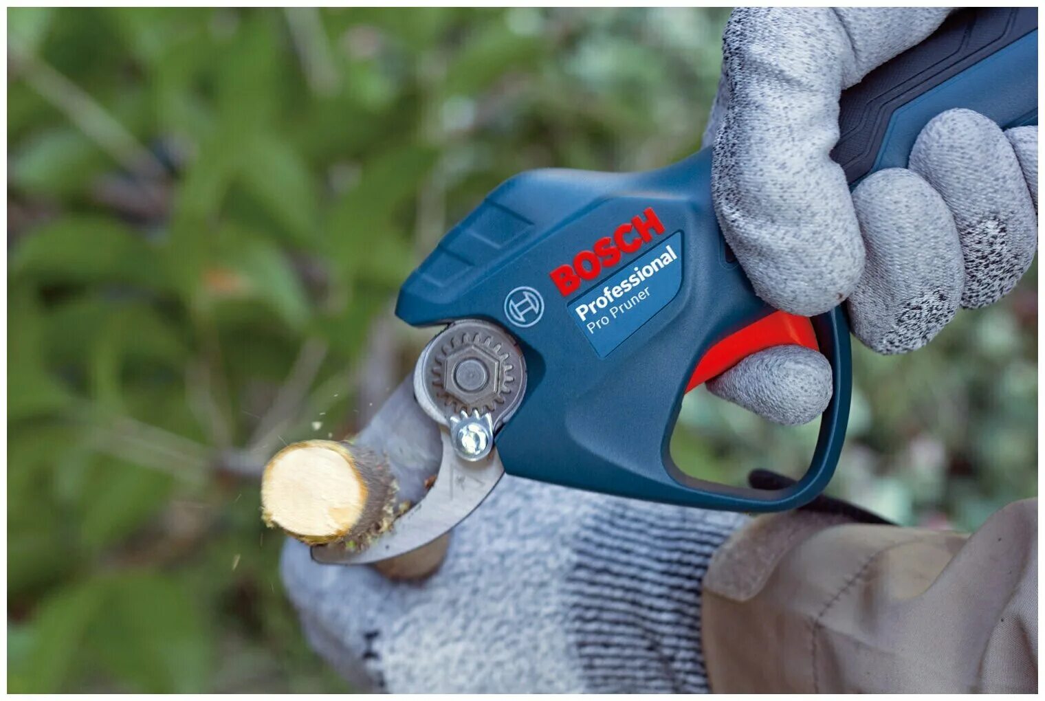 Секатор макита 18b. Аккумуляторная пила секатор. Секатор бош аккумуляторный. Аккумуляторный секатор макита. Секатор bosch 06008b5000 зеленый.