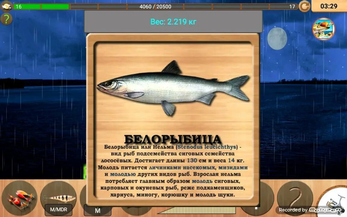 Andromeda coders реальная рыбалка. Реальная рыбалка. игра реальная рыбалка. белорыбица реальная рыбалка. реальная рыбалка андроид.