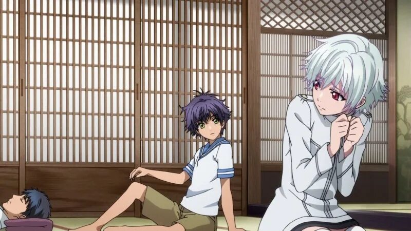 Хаккэндэн аниме. 8 псов востока 1 сезон. Аниме хаккэндэн легенда о восьми. Аниме хаккэндэн легенда о восьми псах востока. Легенда 8 псах.