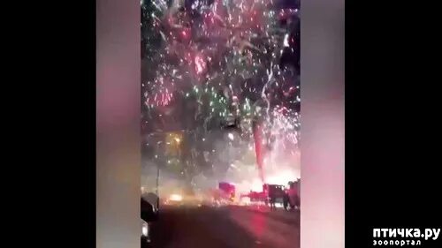 Почему колонка салют горит красным. Салют пожар. пожар на складе с салютами. сгорел склад с фейерверками в ростове на дону.