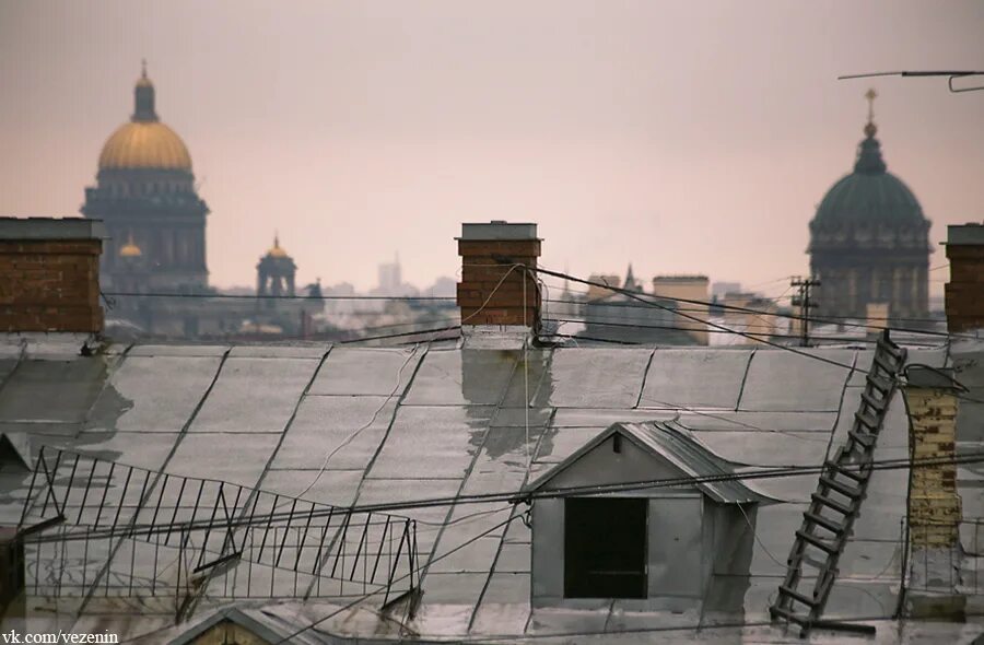 Питерские крыши зимой. Заснеженные крыши Петербурга. Мокрая крыша. Вид с питерских крыш.