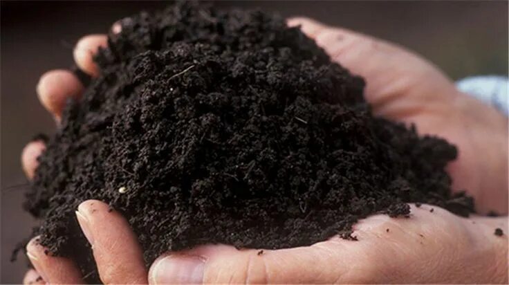 Биогумус чернозем грунт. Почва чернозем. Черный перегной. Грунт плодородный в мешках. Промышленный гигант на теле плодородных черноземов