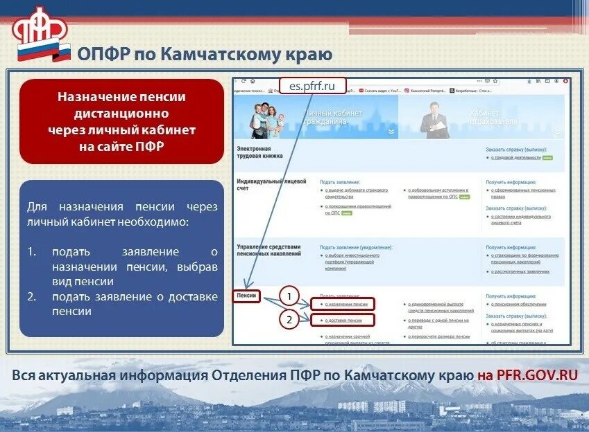 Социальный фонд камчатскому краю. ОПФР Камчатского края. Пенсия в Камчатском крае. Сайт пенсионный Камчатского края. Отделение СФР по Камчатскому краю.