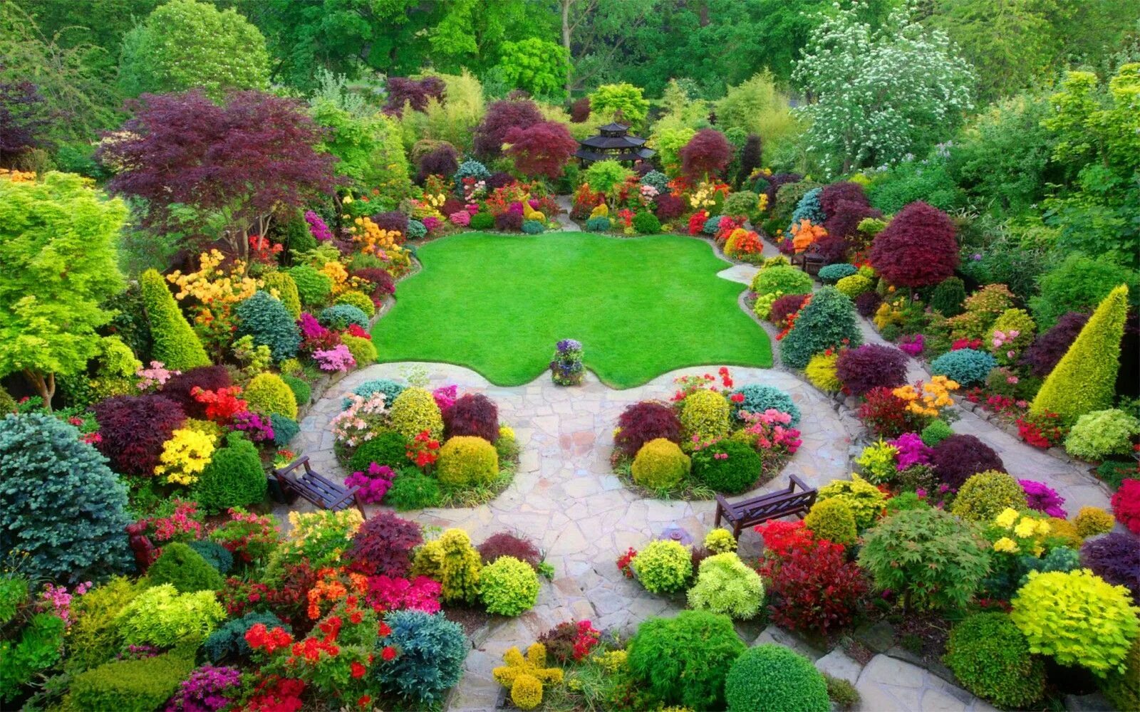 Мой сад. Ландшафт сада. Декоративные растения для сада. Красивые декоративные сады. Ландшафтный дизайнер.