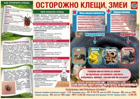 Осторожно змеи чувствуют запах
