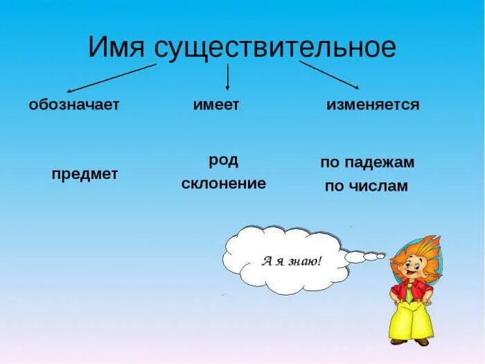 Имя сущ изменяется по. Имена сущ изменяются по. Имя существительное. Как изменяются имена существительные. Рисунок на тему имя существительное.