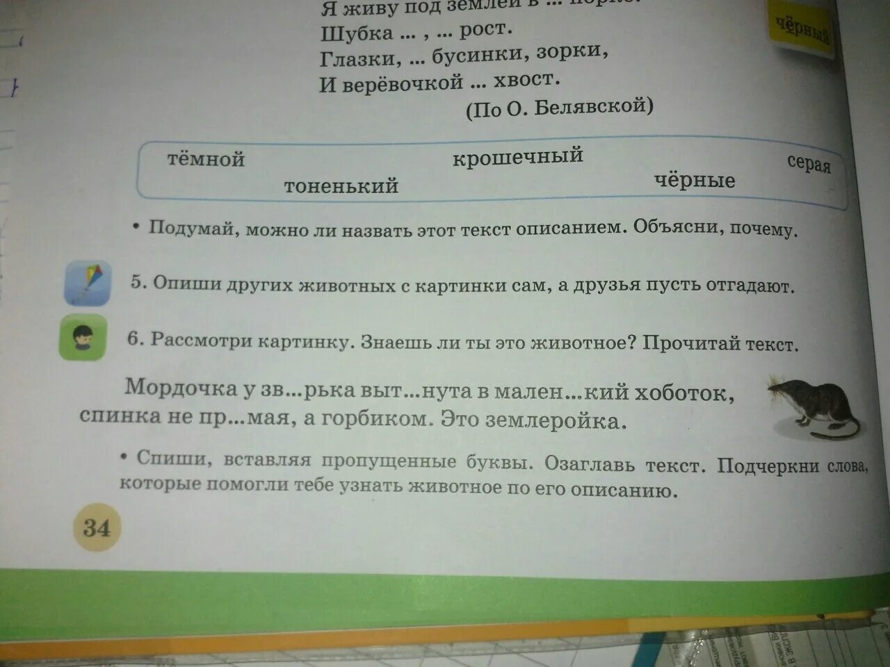 Я живу в темной норке 2 класс. Я живу под землей в темной норке. Загадка я живу под землей в темной норке. Загадка я живу под землей в темной норке шубка серая крошечный рост. Я живу под землей в темной норке шубка серая крошечный.