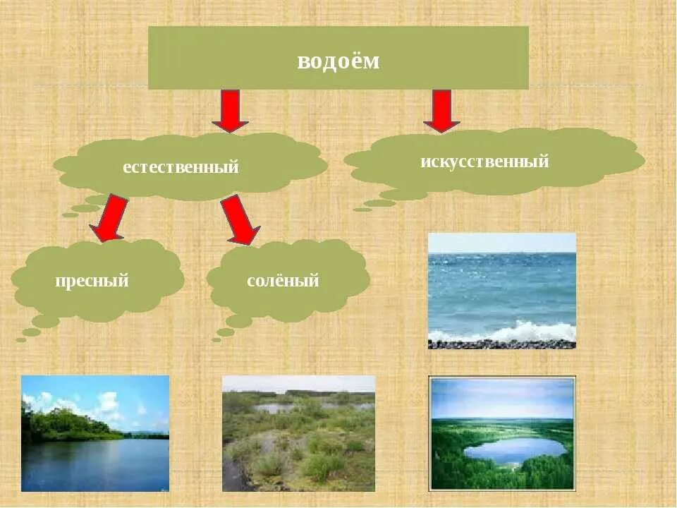 Виды водоемов. Искусственные пресные водоемы. Какие бывают пресные водоемы. Естественные и исксственные водоёмы. Водные объекты 2 класс окружающий мир