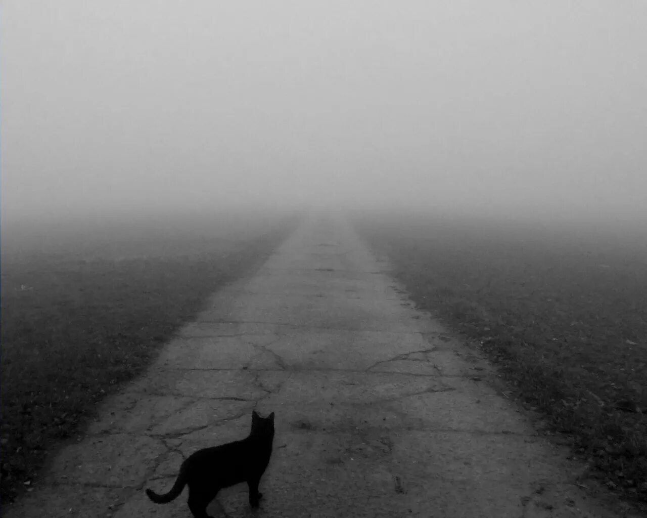Он шел посередине. Дорога никуда. Одиночество дорога. Пустота. Темная дорога.