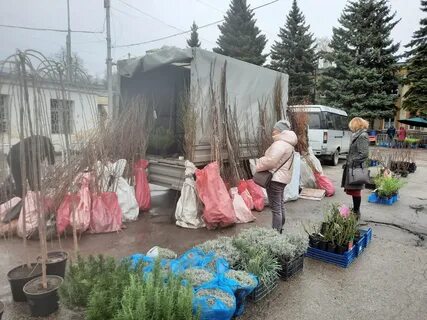 Сад огород пермь 2024