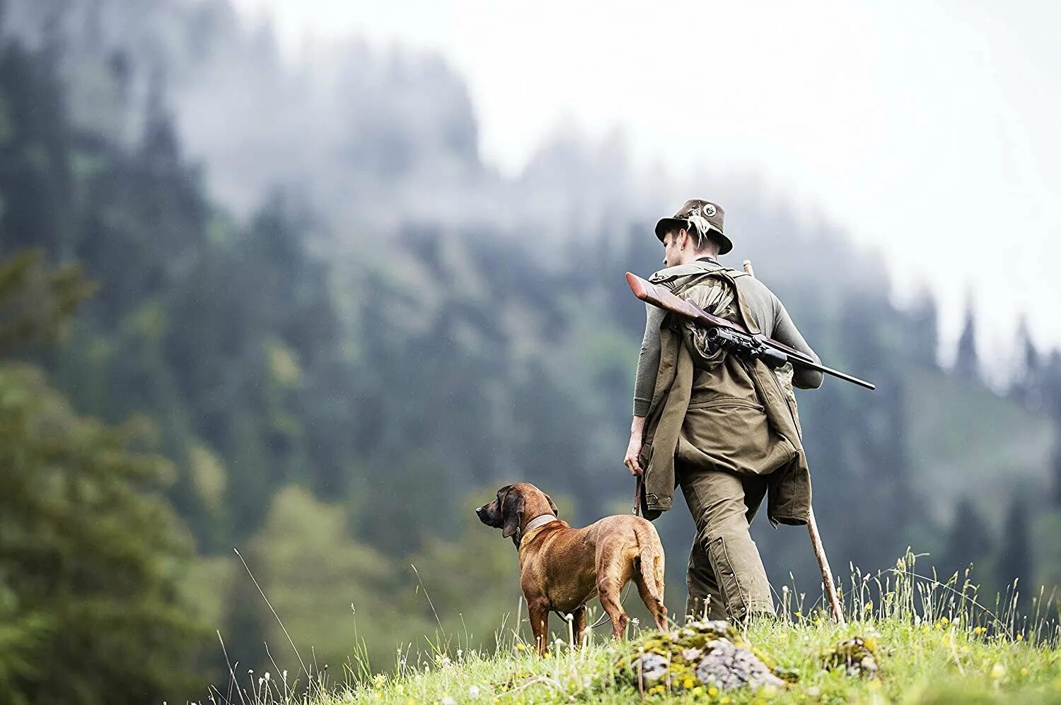 Обои охота. Охота красивая. Охотничье ружье. Охотник с ружьем. Охотник с собакой.