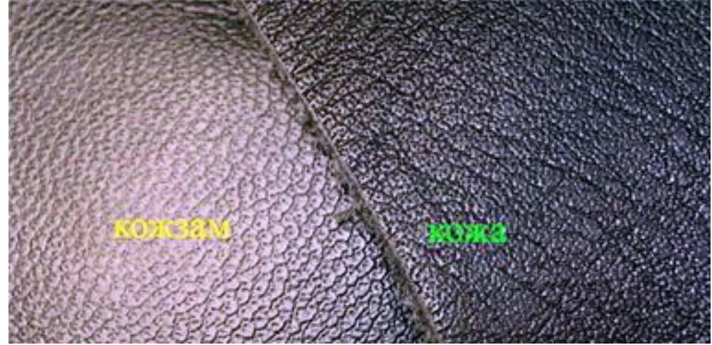 Как отличить кожаную. Прессованная искусственная кожа. Натуральная кожа. Срез натуральной кожи и искусственной. Дермантин и натуральная кожа.