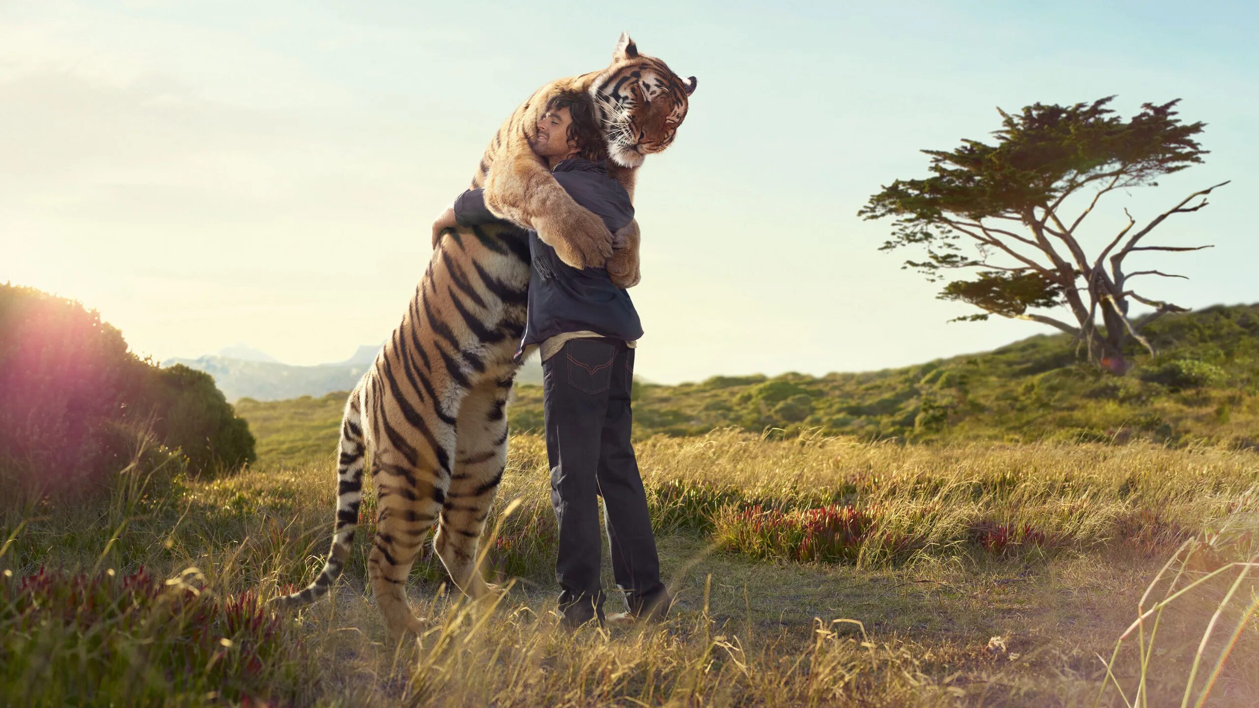 Тигр и собака мужчина. Человек обнимает тигра. Тигр в природе. Люди и животные на природе.