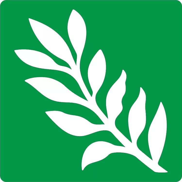 Зеленые листья нарисованные. Веточки для вырезывания. Зеленый трафарет. Трафарет листьев цветов. Зеленые листья для вырезания.