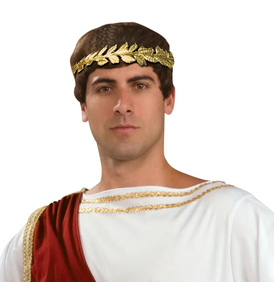 лавровый венок греция. греческий головной убор. греческое украшение на голову. лавровый венок на голове. шлем римского гладиатора.