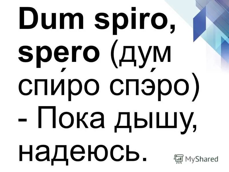 Пока дышу живу. Пока дышу надеюсь на латыни. Dum Spiro spero перевод. Фраза на латыни пока дышу надеюсь. Dum Spiro spero (пока дышу, надеюсь).