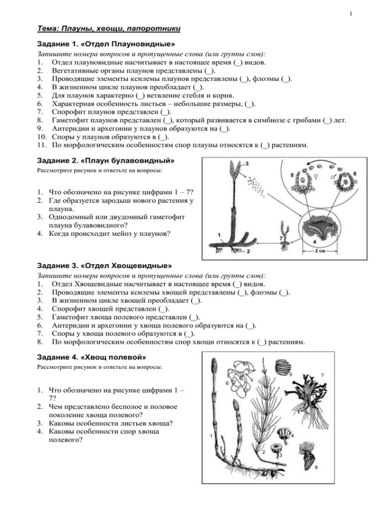 Плауны задания. Биология 7 класс тест 14 плауны, хвощи, папоротники. Тест папоротники хвощи плауны. Контрольная работа папоротники. Тест по теме папоротники.