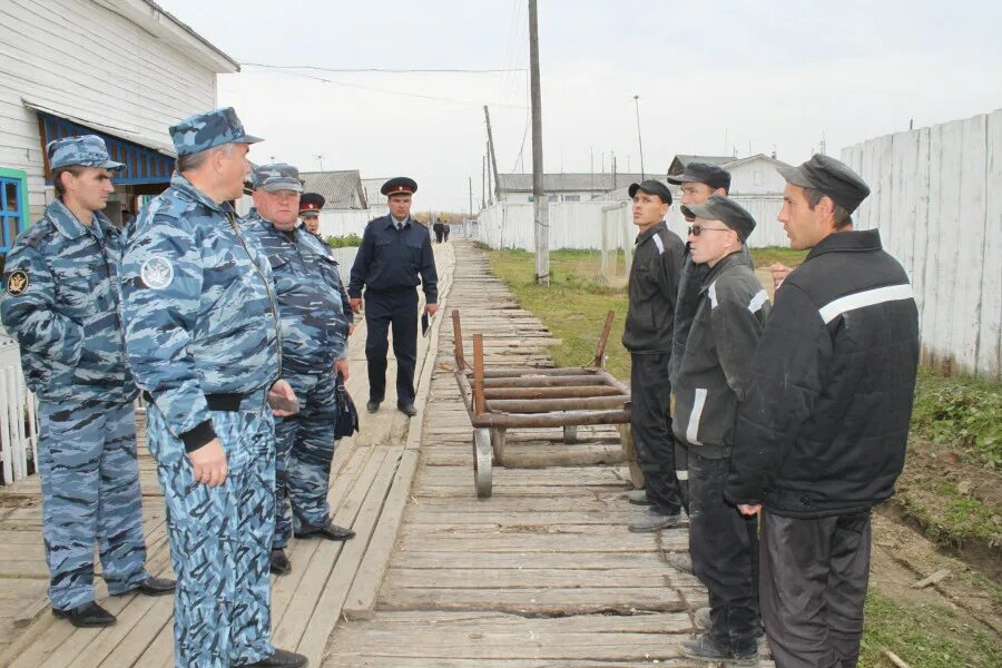 гуфсин ик 14. гуфсин ик 14. фку ик – 22 гуфсин. фку ик-14 гуфсин. начальник фку ик 52 гуфсин по свердловской области.