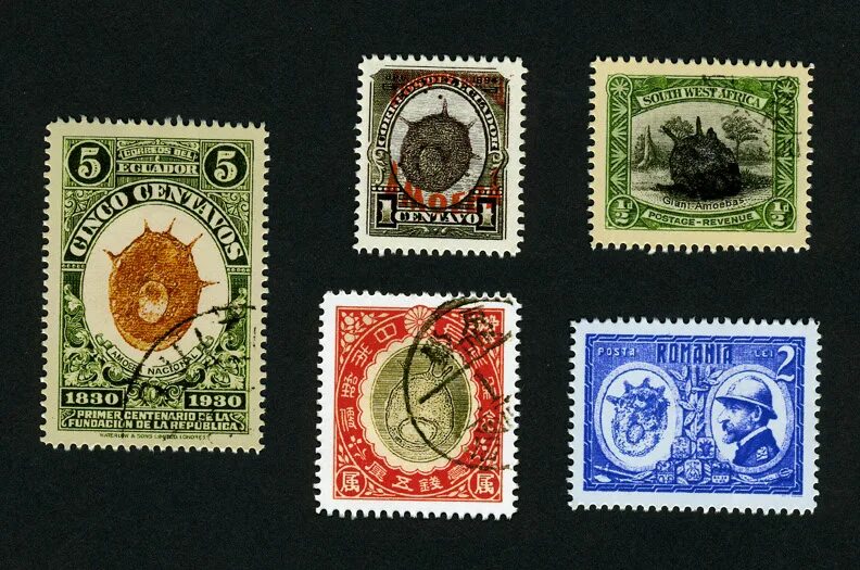 Feet перевод на русский. Физминутка по английскому - clap your hands!. Stamp your feet. Отпечатки ног на костюме. Stamp your feet.