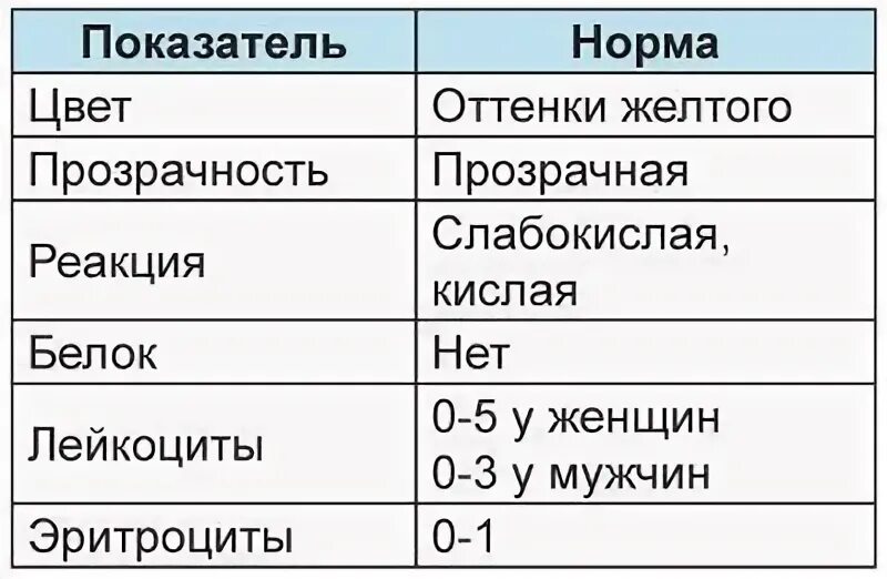 Анализ мочи у мужчин лейкоциты. Анализ мочи лейкоциты норма. Показатели лейкоцитов в моче норма. Норма лейкоцитов в моче у мужчин. Норма лейкоцитов в моче у женщин после 40.