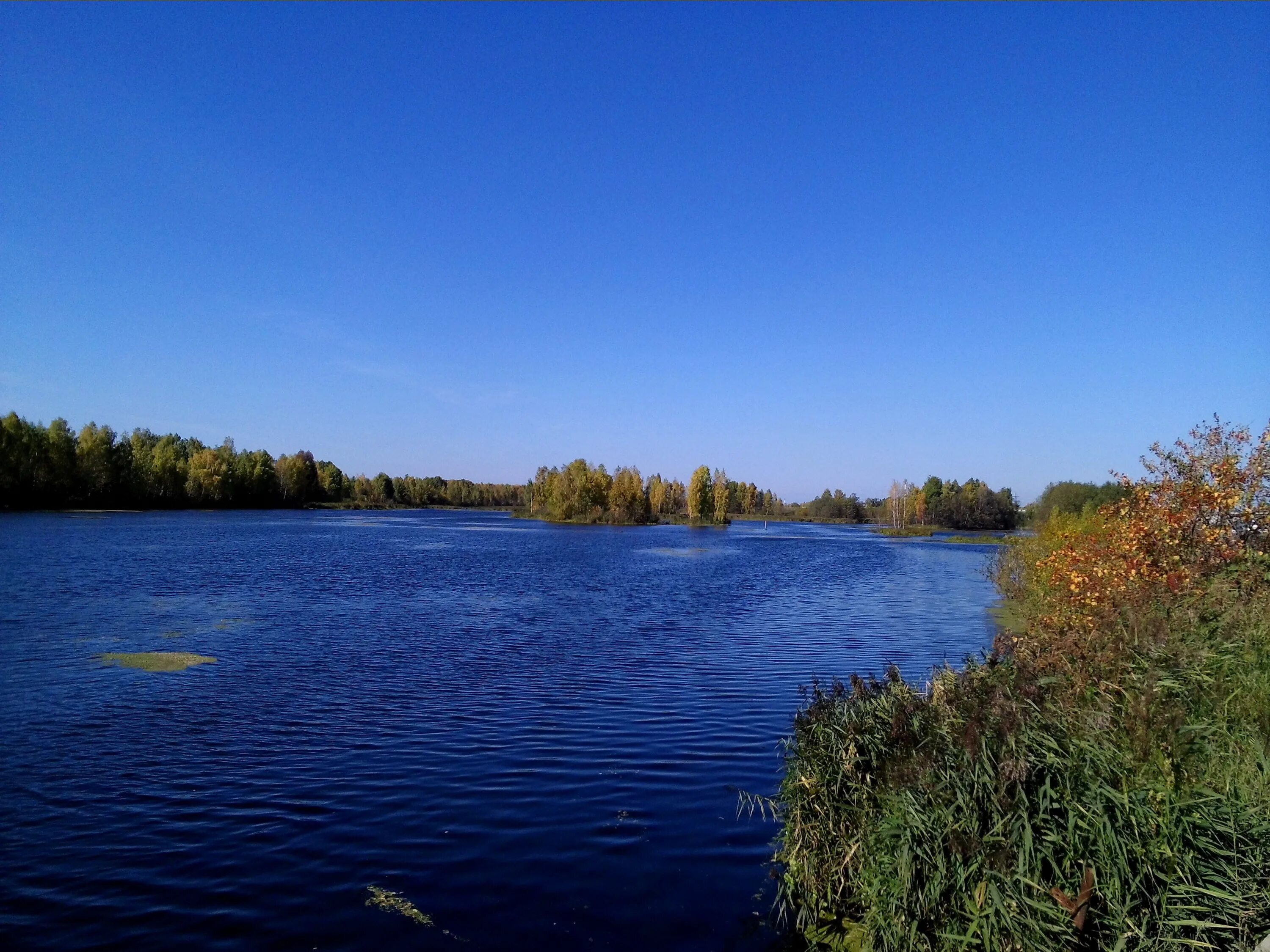 Реки сини. Синяя река. Голубая река. Речка синяя. Синий цвет река.