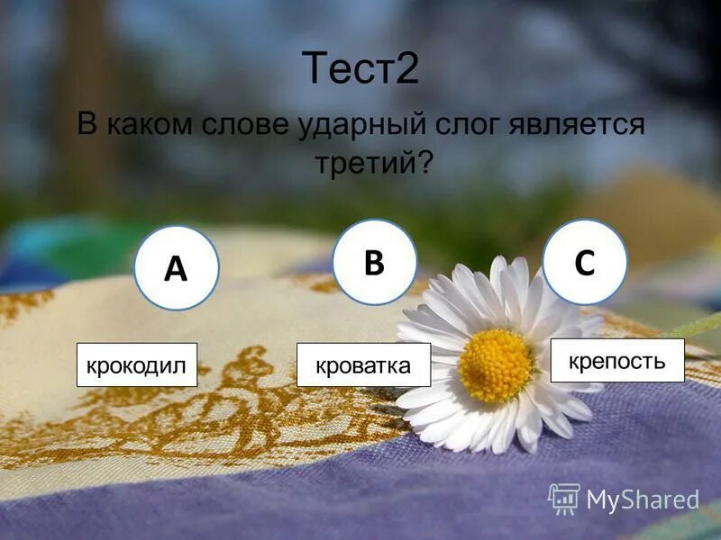 Определение ударного слога в слове. Второй слог ударный в слове. В каком слове 3 слог ударный. Ударный слог в слове. В каком слове 3 слог ударный.