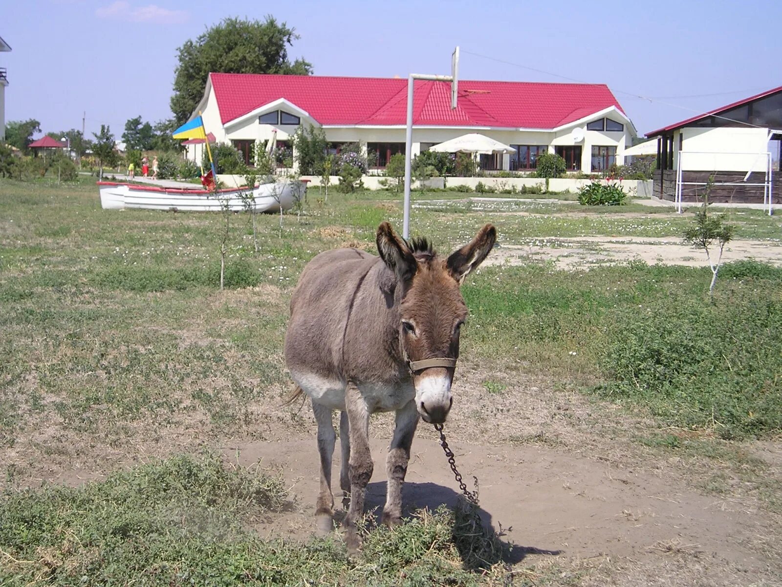 Николаевка Одесская область. Одесская обл с Николаевка. Белгород Николаевка. База отдыха пеликан