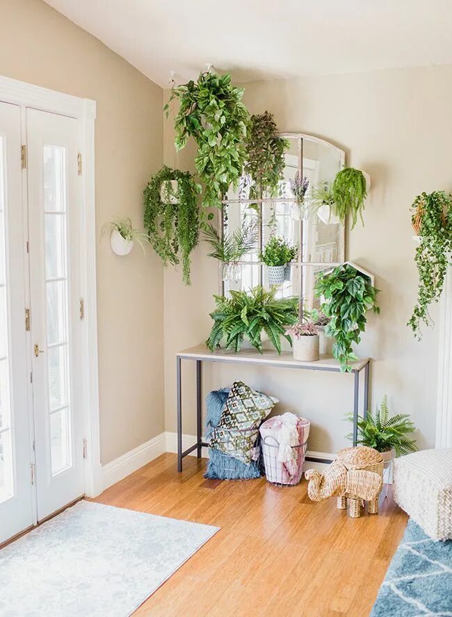 living room with wooly pockets Living wall planter, Vertical garden indoor, Livi
