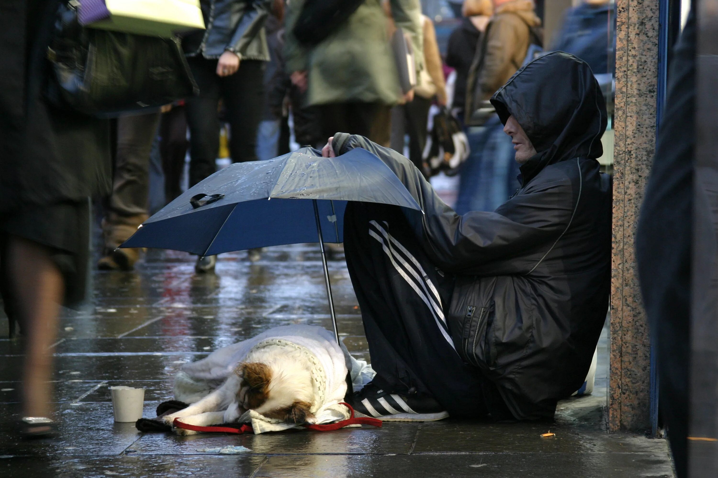 Бесчеловечные поступки людей. Бездомная собачка под зонтом. Красота до вечера доброта до смерти. Собака под дождем и бомж.