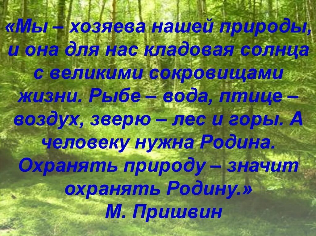 Что по вашему любить природу. Охранять природу охранять родину. Охранять природу значит охранять родину. Беречь природу беречь родину. Бережем природу любите родину.