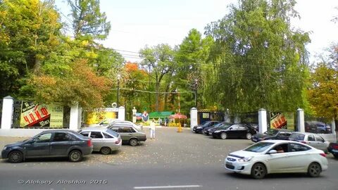 Пенза белинский парк сайт