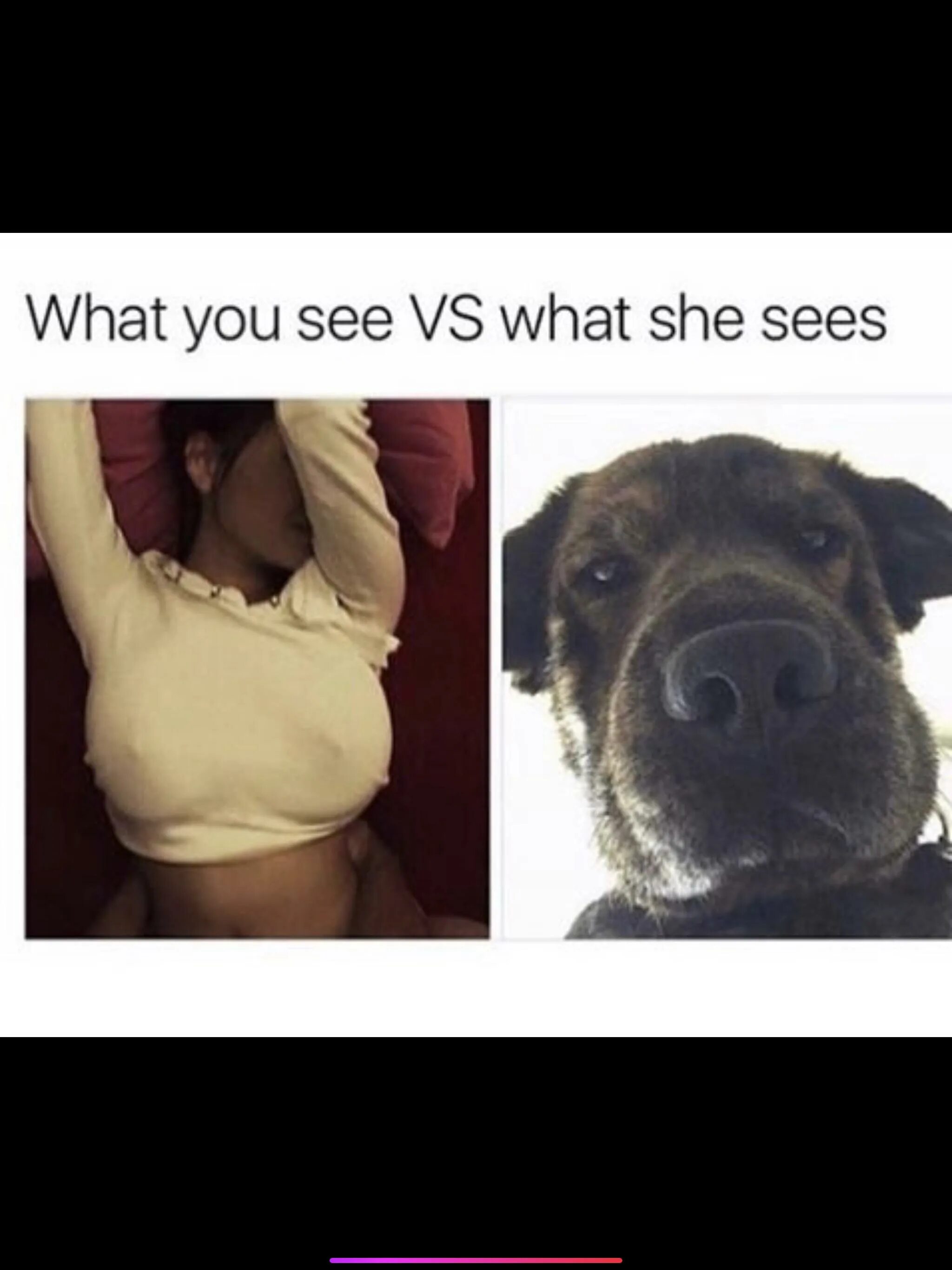 She knows what she is doing. What he see what she see. What she sees vs what you see. What u see vs what she sees оригинал. She knows Мем.