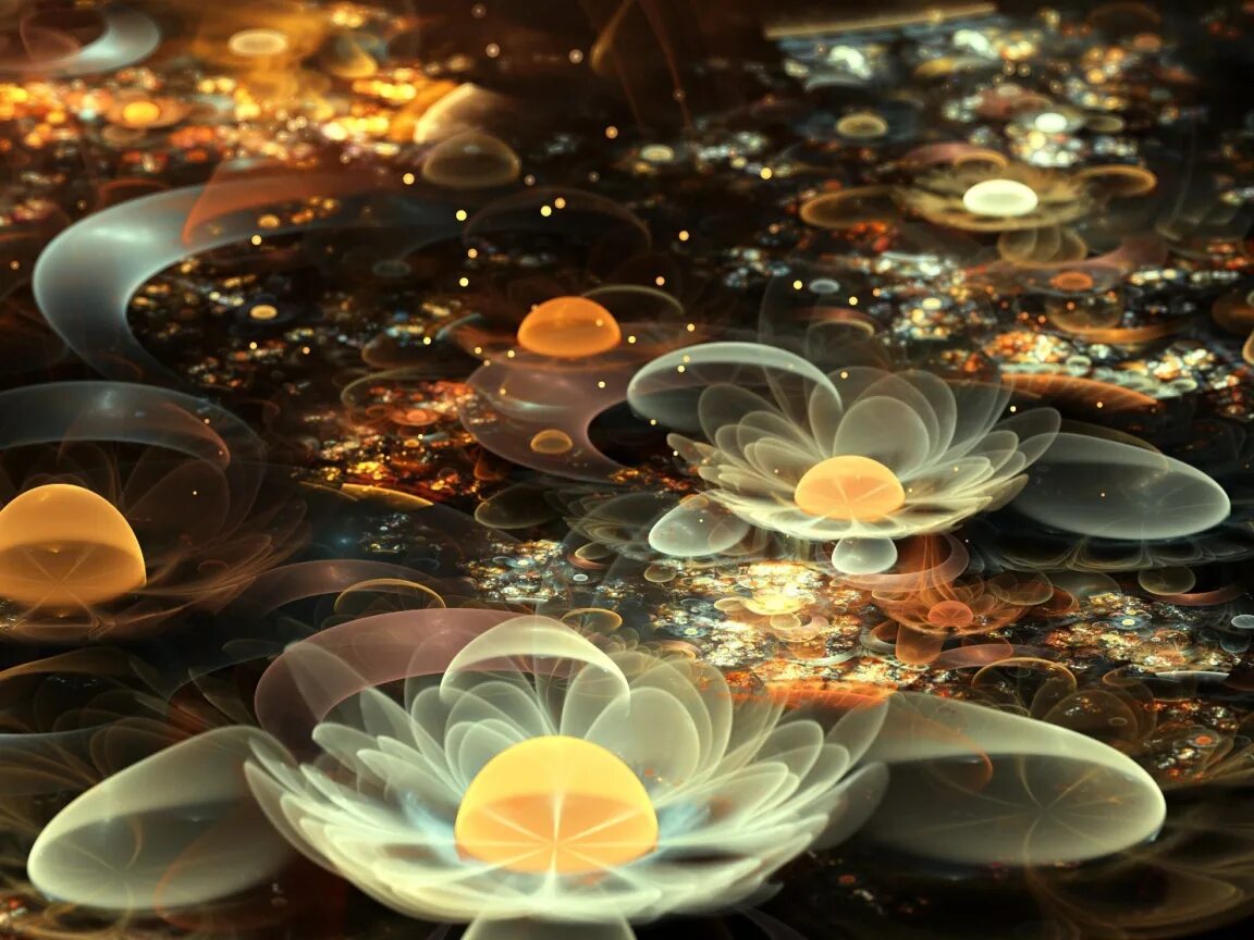 природа. хорошего качества и с оригинальным. необычные цветы на рабочий стол. морские камни. обои на рабочий стол абстракция.