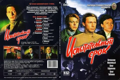 Испытательный срок 1 год