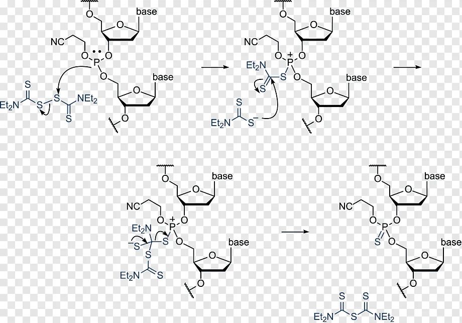 Олигонуклеотидный Синтез. Олигонуклеотид ДНК. Олигонуклеотидный Синтез схема. Фосфотриэфирный метод синтеза олигонуклеотидов.