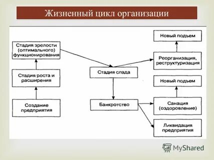 Изобразите схему жизненного цикла