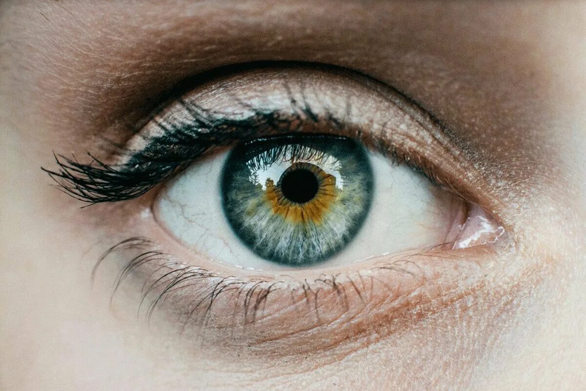 Красивые глаза. Красивые глазки. Люди с красивыми глазами. Человеческий глаз.
