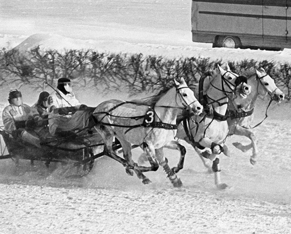 1957 ЦМИ тройки. Историческая тройка. Красивая тройка. Тройка старых лошадей. 4 тройки в году