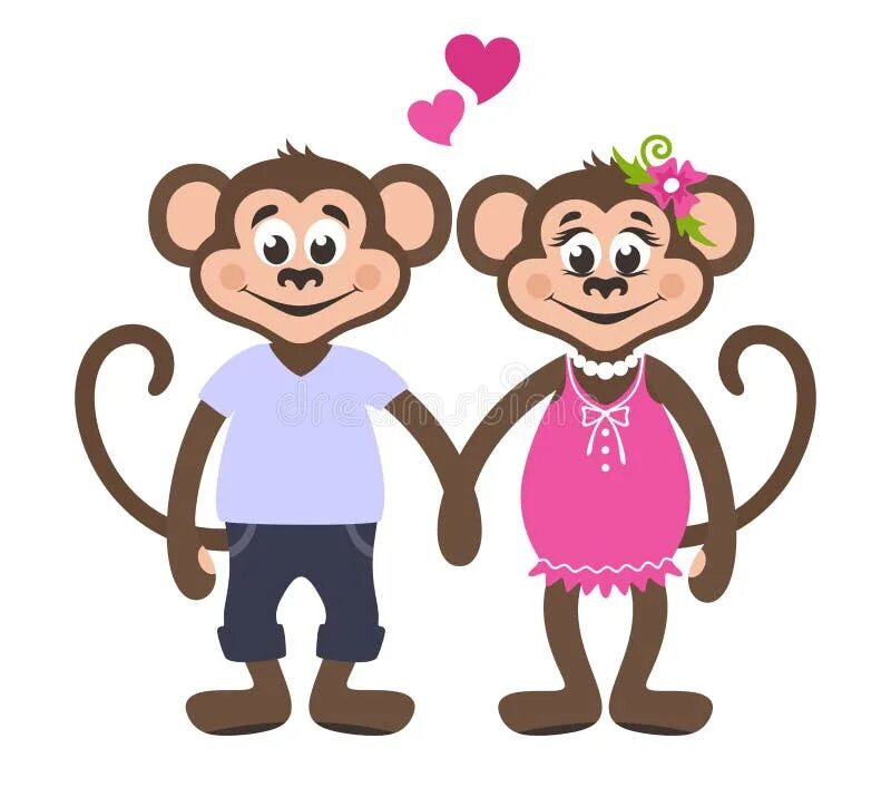 Мужчина обезьяна любовь. Обезьянки девочка и мальчик. Обезьяна девочка. Две обезьянки мальчик и девочка. Обьезьяны мальчик и девочка.